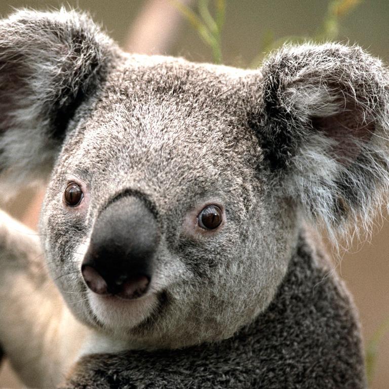 save the planet dont be selfish