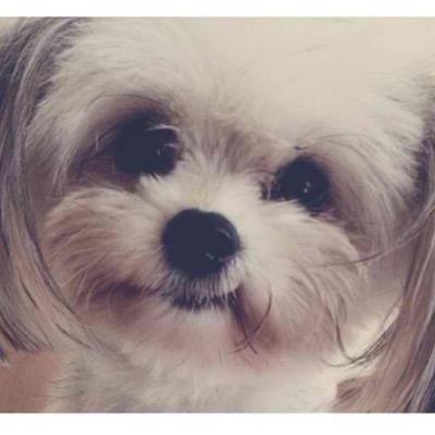 khloecaritativo's profile picture. Werf!
