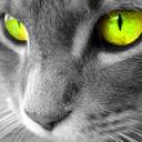 Mariah Ferry - @ferry_maefer - Twitter