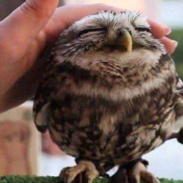 Efimbolshakov01's profile picture. 