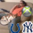 Scuffy714's profile image