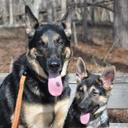 Tony Littlejohn - @ralittle17 - Twitter