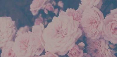 d_roohi52's profile picture. 