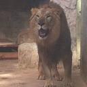 Larry Infante - @larryinfante69 - Twitter