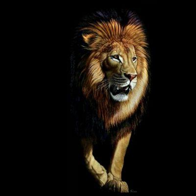 jυѕт wanna мaĸe ιт тo нeaven. ι jυѕт wanna мaĸe ιт ιn. ι jυѕт wanna croѕѕ тнaт rιver. ι wanna вe ғree ғroм ѕιn.