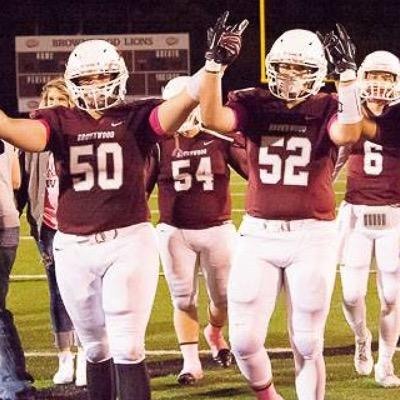 brownwoodlion55's profile picture. 