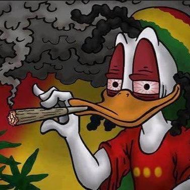 cannabis 4 life