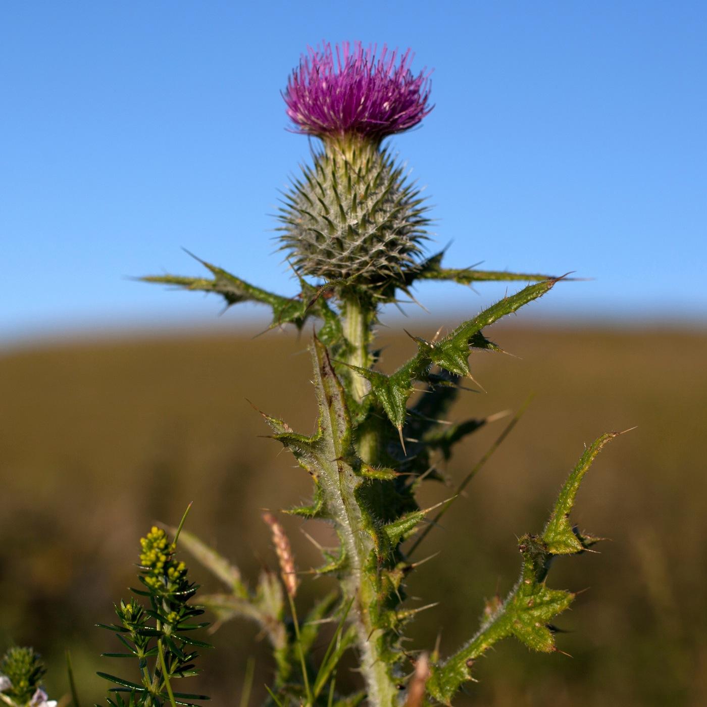 Our passion is to explore the Scottish Highlands and Islands. From mountain ridges to lonely glens and desertes beaches, we capture the magic.