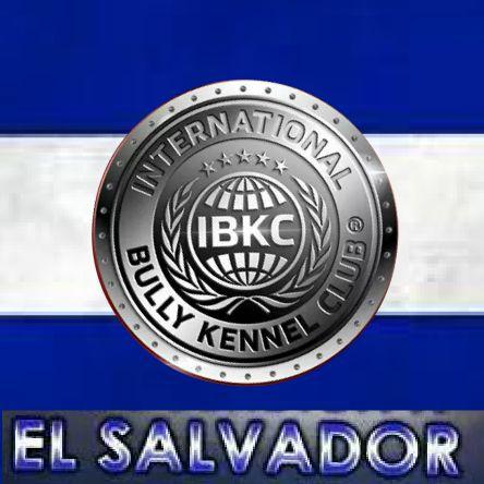 Somos un criadero de la raza american bully importados de california con sangres como Ez rider, Remyline, Garyline, Razor edge trabajando en calidad y seriedad