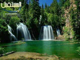 يمني
