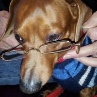 Boo R Cantrell (@boorboo) 's Twitter Profile Photo Boo R Cantrell (@boorboo) 's Twitter Profile Photo