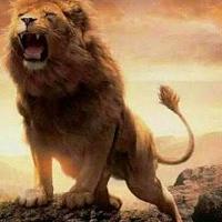 يوسف (@yous6f) 's Twitter Profile