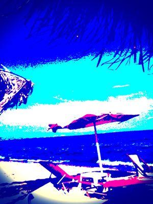 AllouDalou's profile picture. 