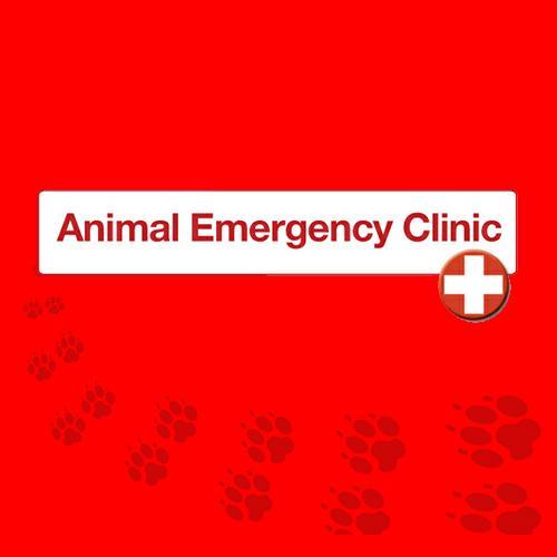 Nuestra clínica veterinaria es tu refugio para cualquier necesidad relacionada con el cuidado y bienestar de tus animales.