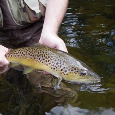 fly fishing guide