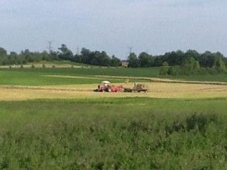 i'm a stay at home mom of 4 girls. we farm hay & soybeans.