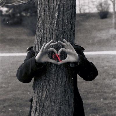 أيتها الأنثى التي في صوتها تمتزج الفضة . . بالنبيذ . . بالأمطار