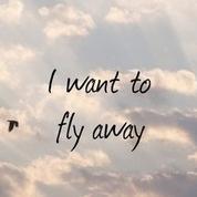 CallItMagicflow's profile picture. 