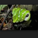 Jon Sams - @thepython309 - Twitter