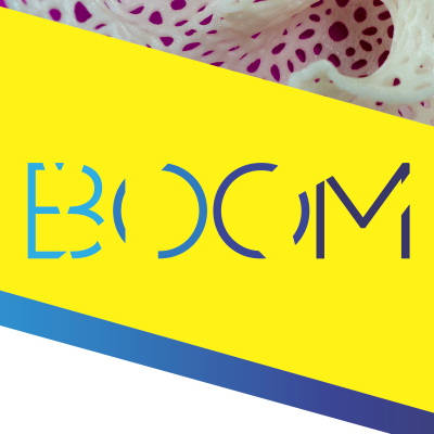 Boom Fair : Design, Innovation and Creativity / #BOOMFair / 2nd Edition 26 Feb - 01 Mar 2015 / Call for exhibitor or more information : +1 787 721 8966