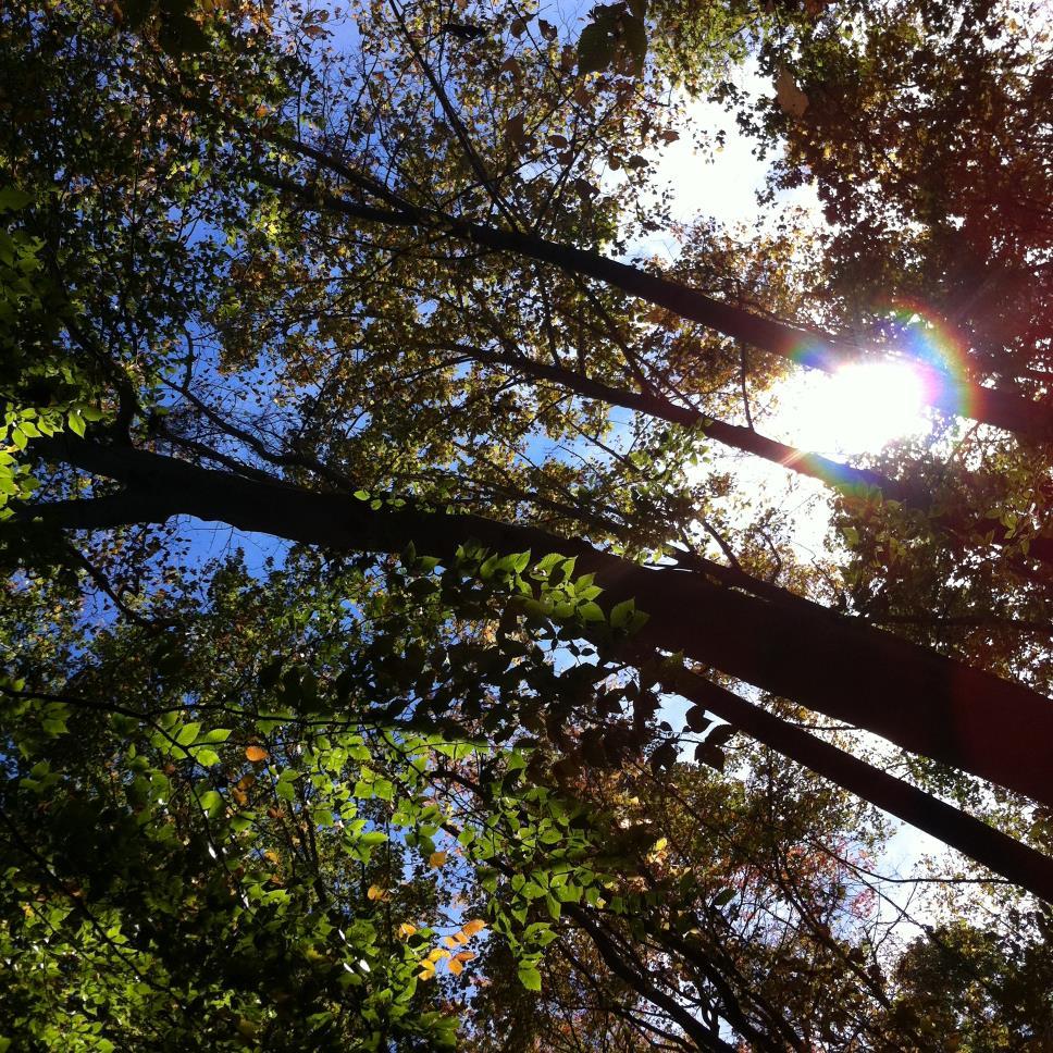 JoyousWritings's profile picture. John 3:16 // I hope to share beautiful writings with the world // Message me if you have a writing you would like me to share // Created: 1/12/15