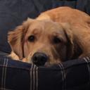 Stacey McDonnell - @StaceyMcdonnell - Twitter