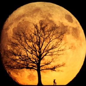 Blog de reseñas literarias, entre otras cosas. https://t.co/uYotkHndd6