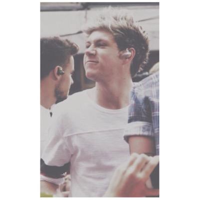 dont touch me unless ur niall horan シ