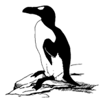 The Auk (@aukjournal) 's Twitter Profile Photo The Auk (@aukjournal) 's Twitter Profile Photo