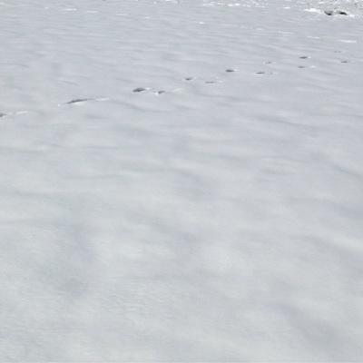 pixy_gra's profile picture. 