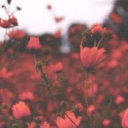 Lets fool each other into thinking we're in love.