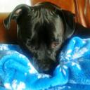 Judy Ervin - @MNMadre - Twitter