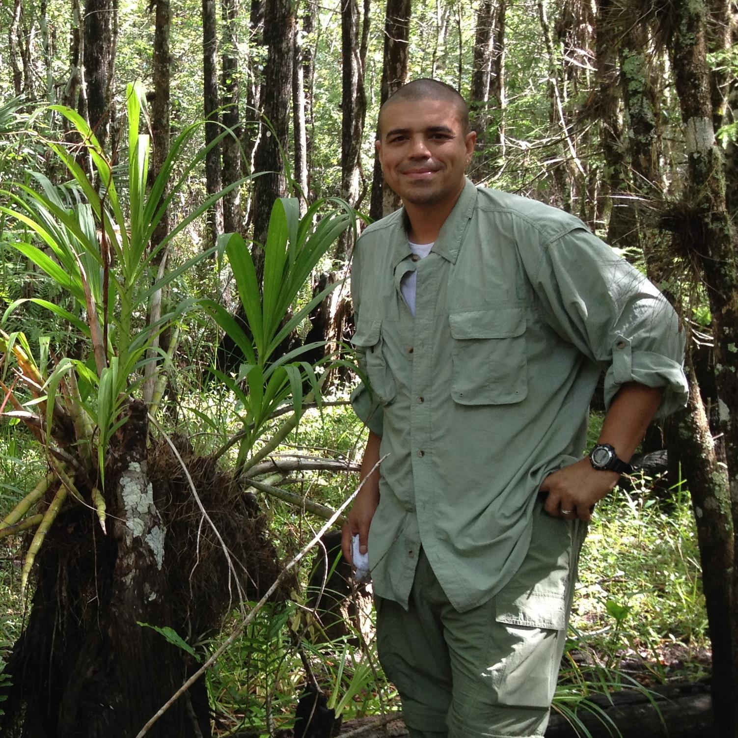 OrchidMiami's profile picture. 