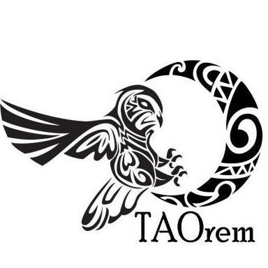TAO remote sensing devices: instrumented packages launched from Tamke-Allan Observatory.  Signal confirmation and participation encouraged. 73.  N4HBO & WA4ADG