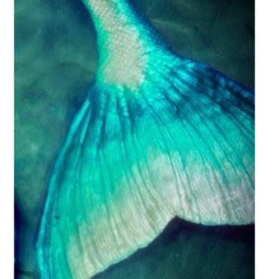 MermaidLifeXo's profile picture. Mermaid........Forever and Always. #MermaidLife #Merfamily | Old acc @Realmermaid14