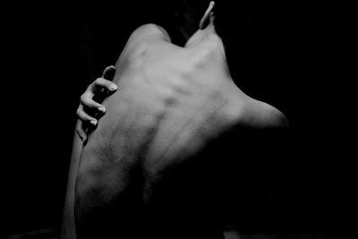 Ionelyflower's profile picture. 