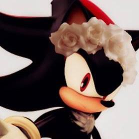 An artificially created black and red hedgehog whose hover shoes propel him at extreme speeds that rival those of Sonic.