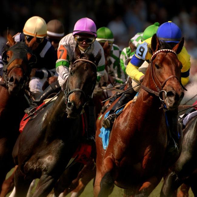 Follow Derby Craze for Kentucky Derby 2015 Information: Schedule, Tickets, History, and Betting Odds.