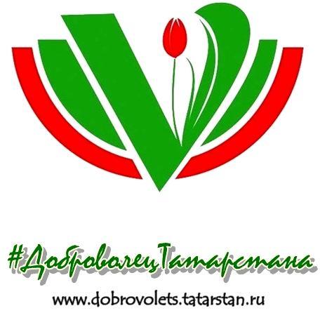 Региональная молодежная общественная организация Центр развития добровольчества Республики Татарстан