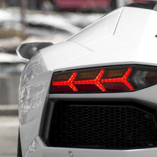 licentiousblade's profile picture. 