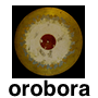 @orobora