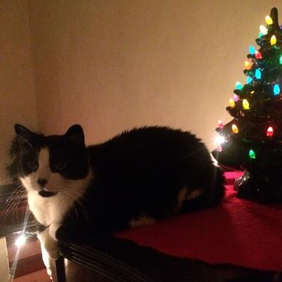 gorrowk's profile picture. 