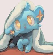 Kaede | Male | Shinx
