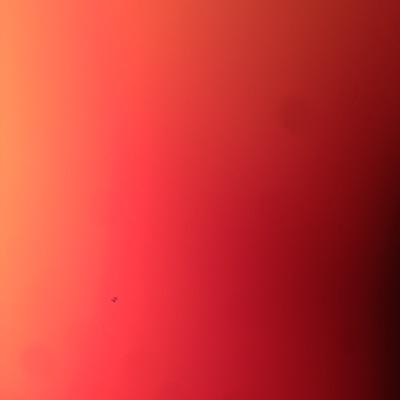 ilanhazan7's profile picture. 