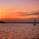 Debra Temple - @debratemple4 - Twitter