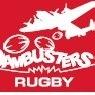 Dambustersrugby Profile