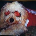 Mike Rand ☮️ - @BuffBuffBrew - Twitter