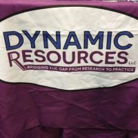Dynamic Resources (@dynresources) 's Twitter Profile