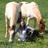 kendra_wads's profile image