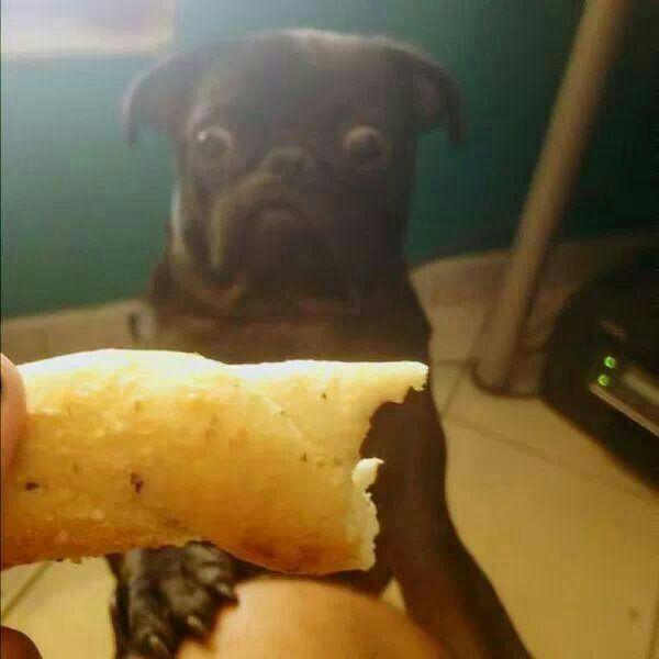 SoulRipper11's profile picture. Sigueme y te sigo